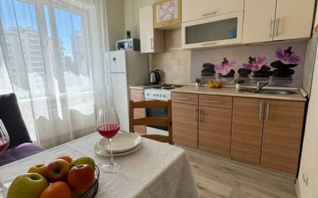 Апартаменты однокомнатные с балконом на Союзной 4