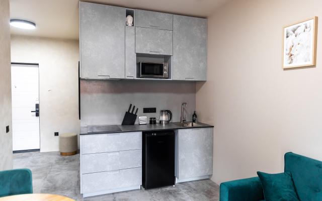 1-Komnatnye V Zhk Chyornaya Rechka Apartments