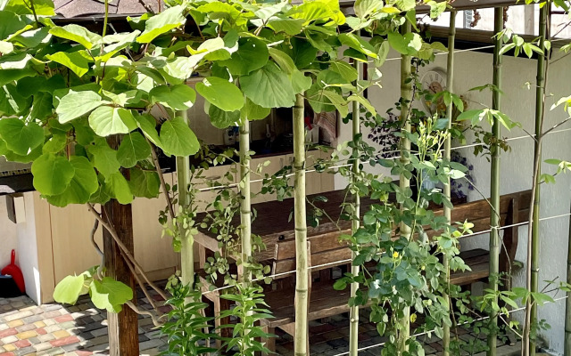 Гостевой дом Гера