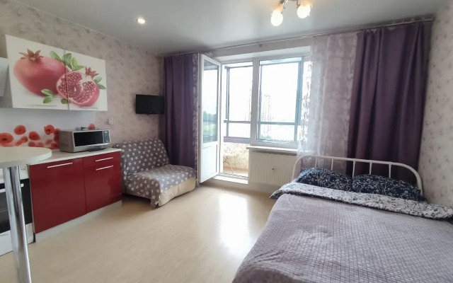 Квартира Студия на Проспекте Авиаторов Балтики 5