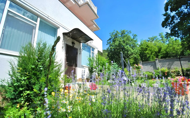 Apartments u Dvortsa