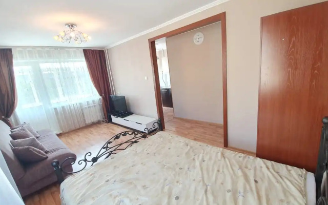 Zhdem Gostey Lenina 49 Apartments