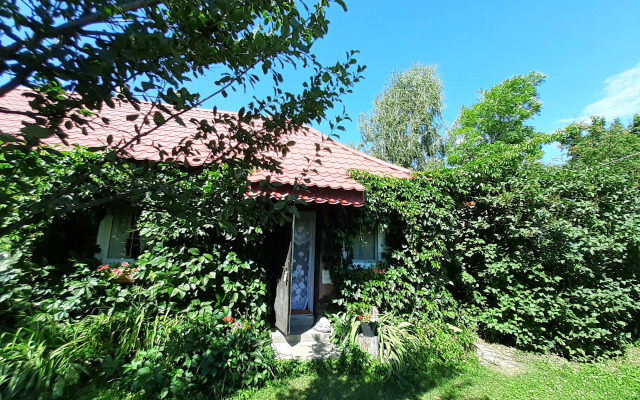 Частный дом Гостевой дом Усадьба Теплый хутор