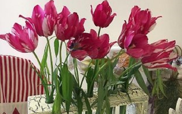 Апартаменты Вдохновение