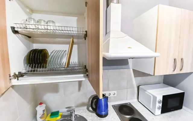 Uyutnaya Kvartira Vozle Sheremetyevo Apartments