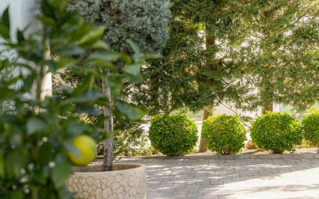 Отель Диона