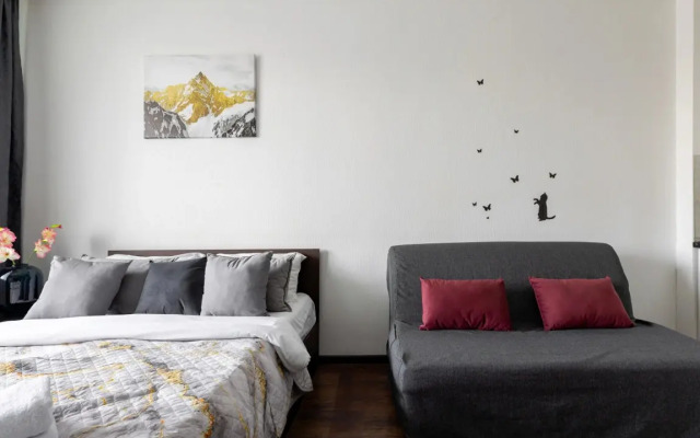 Апартаменты Студия метро Ладожская