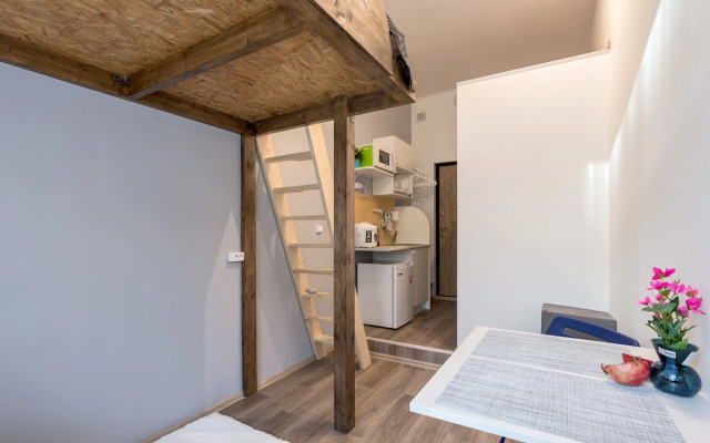 Studio Vasilevskiy Studiya 2 Apartments