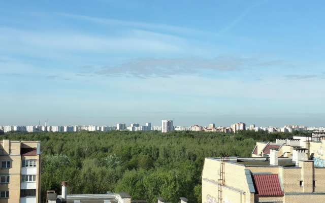 Na Ulitse Moskovskoy, 311 Flat