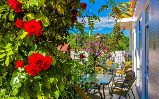 Dolce Vita Guest House