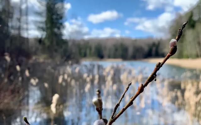 Отель Истра Холидей