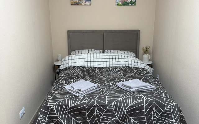 Квартира уютная в центральном районе Великого Новгорода