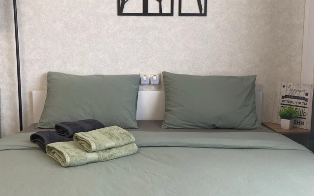 Svetlaya studiya u metro Solntsevo Flat
