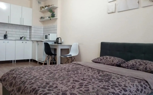 Апартаменты На Большой Подгорной 87