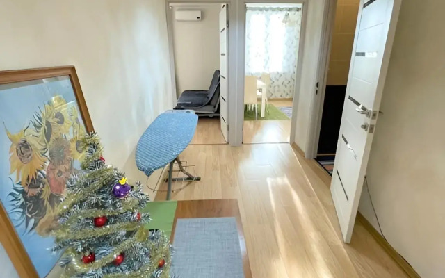 Odnokomnatnaya Flat