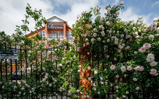 Assol Guest House