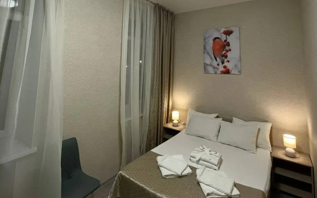 Snegiri Hotel