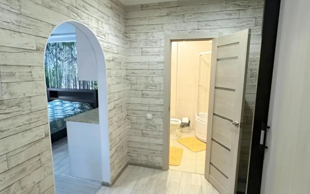 Апартаменты Студия