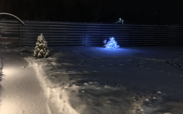 Вилла Sosna Igora House