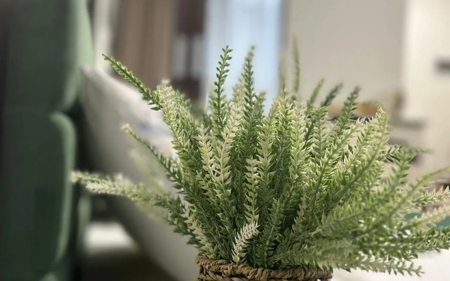 Апартаменты однокомнатные на проспекте Куприна 36к1