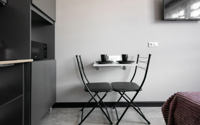 Studiya Na P. Romanova Apartments