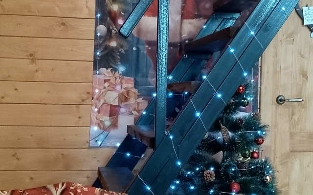 Частный дом на Каштановой 218