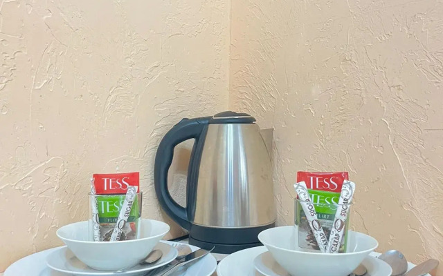 Апартаменты Студия с общими удобствами на Пушкинской 9