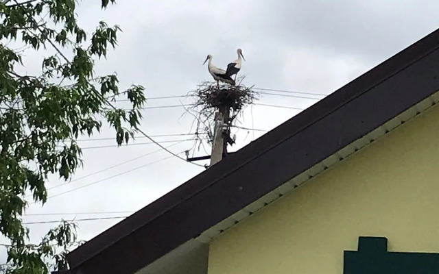 Гостевой дом Спицино 135