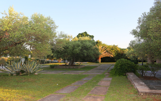 Rika's Seaside Nikiti Villa