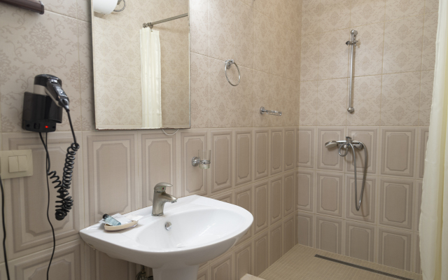 Apartments Pushkin