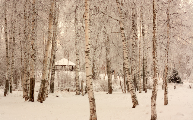 Коттеджный Комплекс Озерный Берег