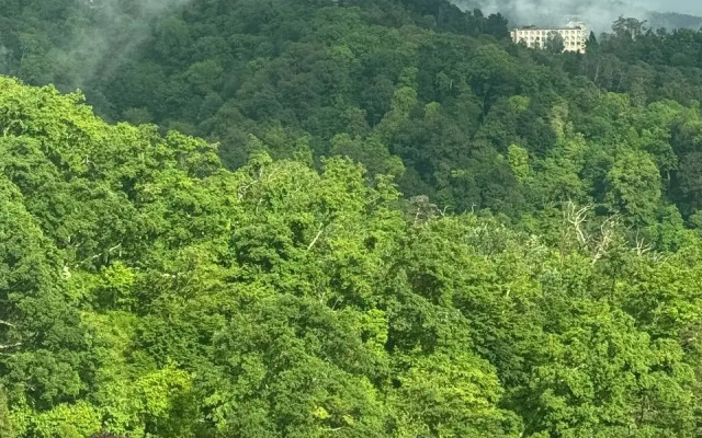 Odnokomnatnaya V Sochi Flat