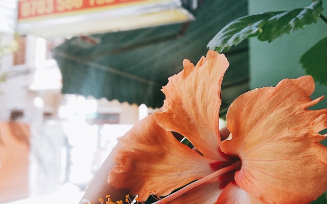 Win's Danang Homestay Guest House