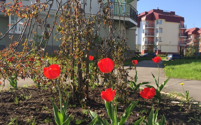 Апартаменты NewStory