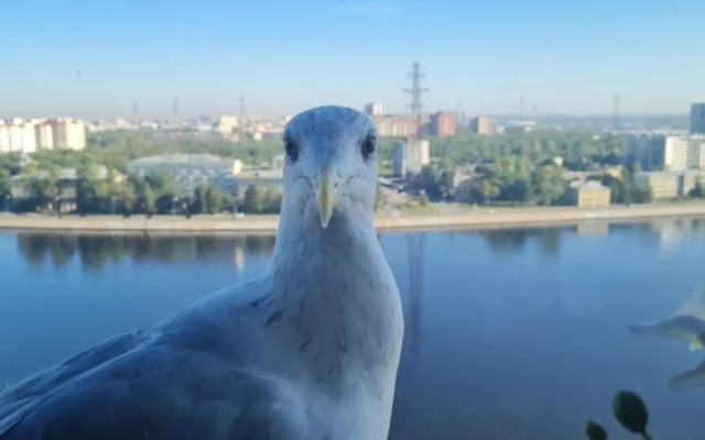 Квартира видовая с евроремонтом