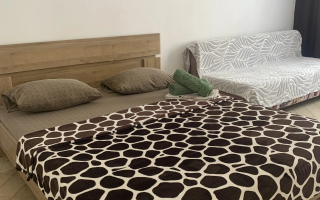 Prekrasnaya Vozle Kristalla Ryadom S Centrom Flat