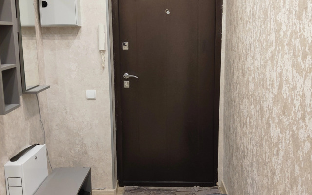 Novaya Sovremennaya Studiya S Vidom Na Roschu Flat