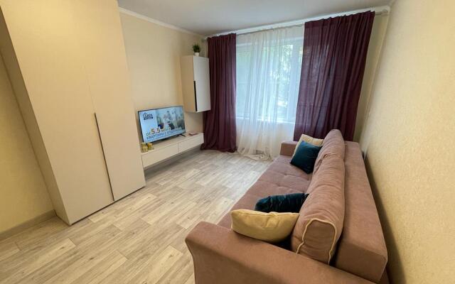 Квартира уютная на Академика Волгина