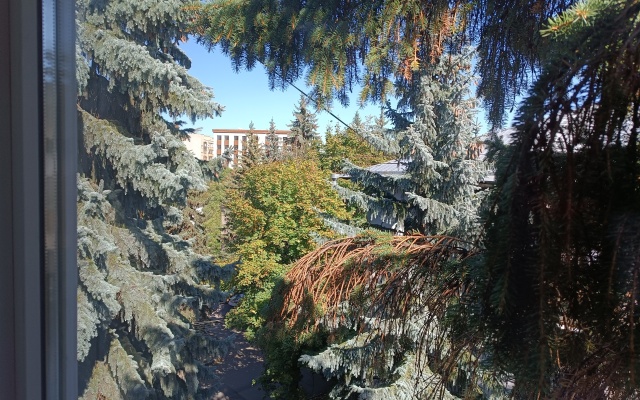 Квартира Двухкомнатная на Тельмана 5