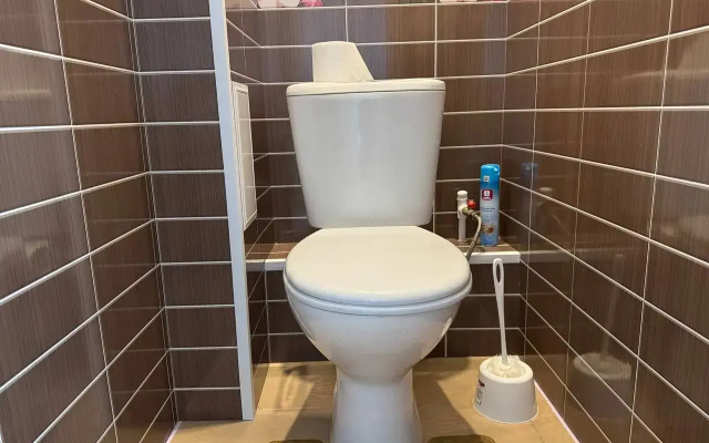 Апартаменты Ассорти для Ценителей Уюта