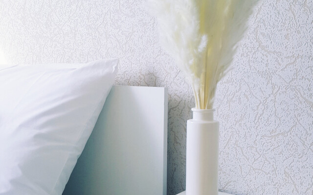 Uyutnaya i svetlaya v gorode Voronezh Flat