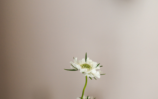 Апартаменты Кварт-Отель, Большая Грузинская, 63, с. 1