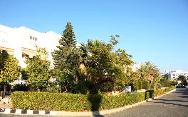Green Oasis Beach Apartments