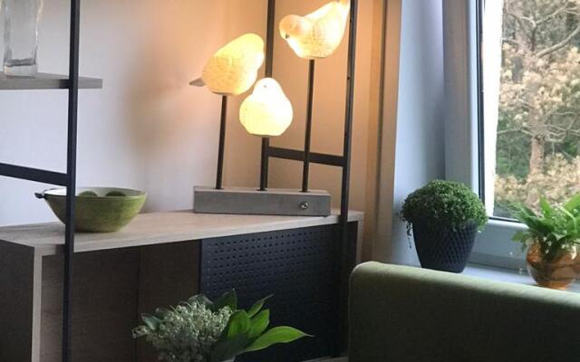 Апартаменты в Светлогорске на Майском 19