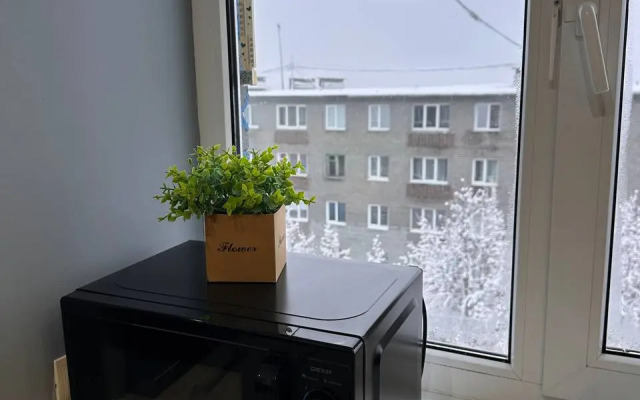 Квартира Уютная студия в центре Хибин