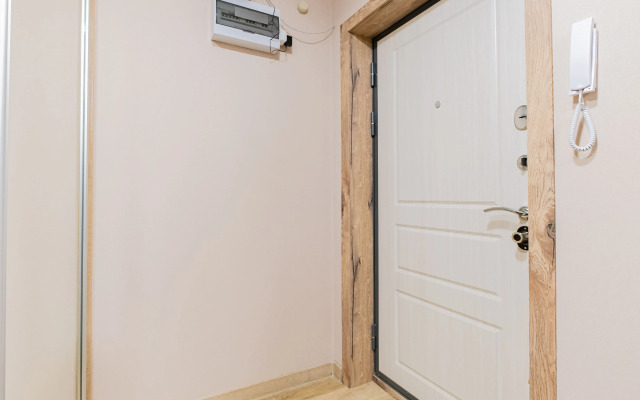 Апартаменты Петровские на Аркадия Иванова 21 №5