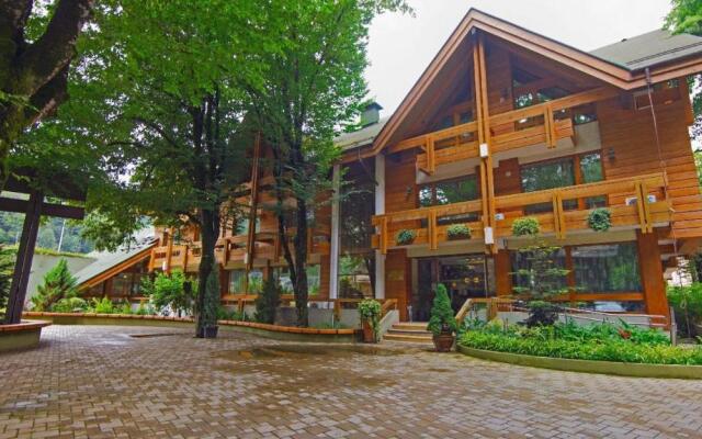 Гостиница Stellar Collection Chalet, Krasnaya Polyana в Красной Поляне отзывы, цены и фото номеров - забронировать гостиницу Stellar Collection Chalet, Krasnaya Polyana онлайн Красная Поляна приотельная территория