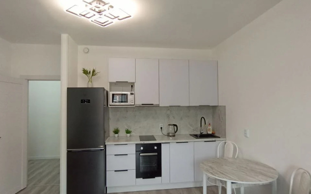 Studiya Pervaya Na Neve V Gorode Pervykh Flat