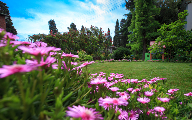 Гостевой дом Спарта