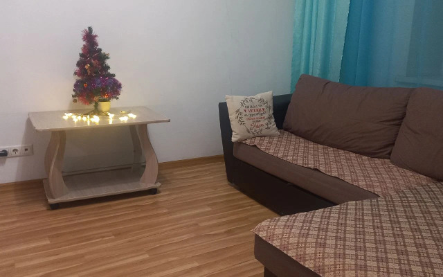 Квартира домашняя светлая двушка в центре Красноярска